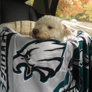 Meet your Posher, Janet